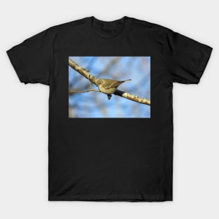 Immature female pine warbler T-Shirt